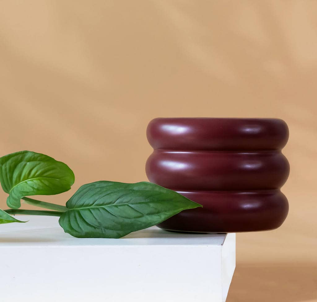 Shopify Product Photography
